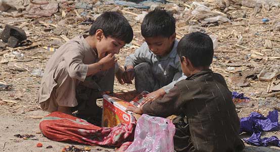 免费ddos攻击网页端