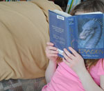 ddos在线攻击工具