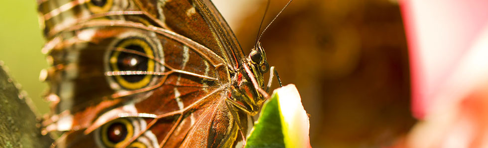网页在线DDOS压力测试