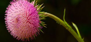 ddos压力测试网页端