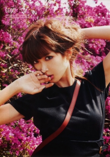 专业技术支持的ddos在线攻击工具